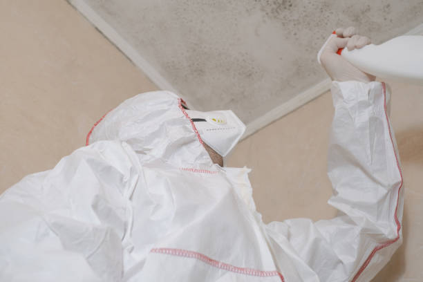 Best Office Mold Removal Services  in Brook Highland, AL